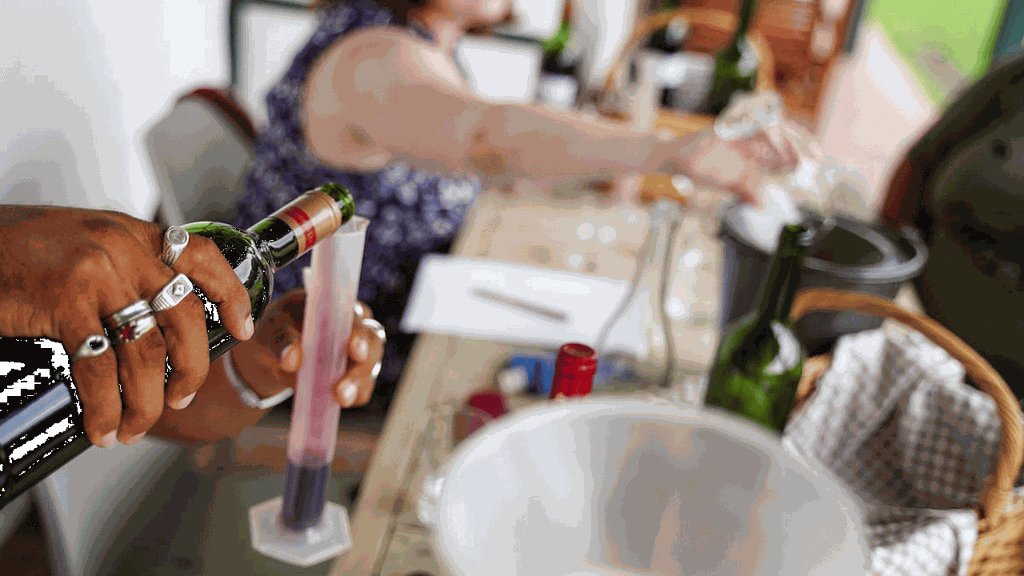 Stellenbosch: Weinmisch-Erlebnis mit Barbecue-Pairing