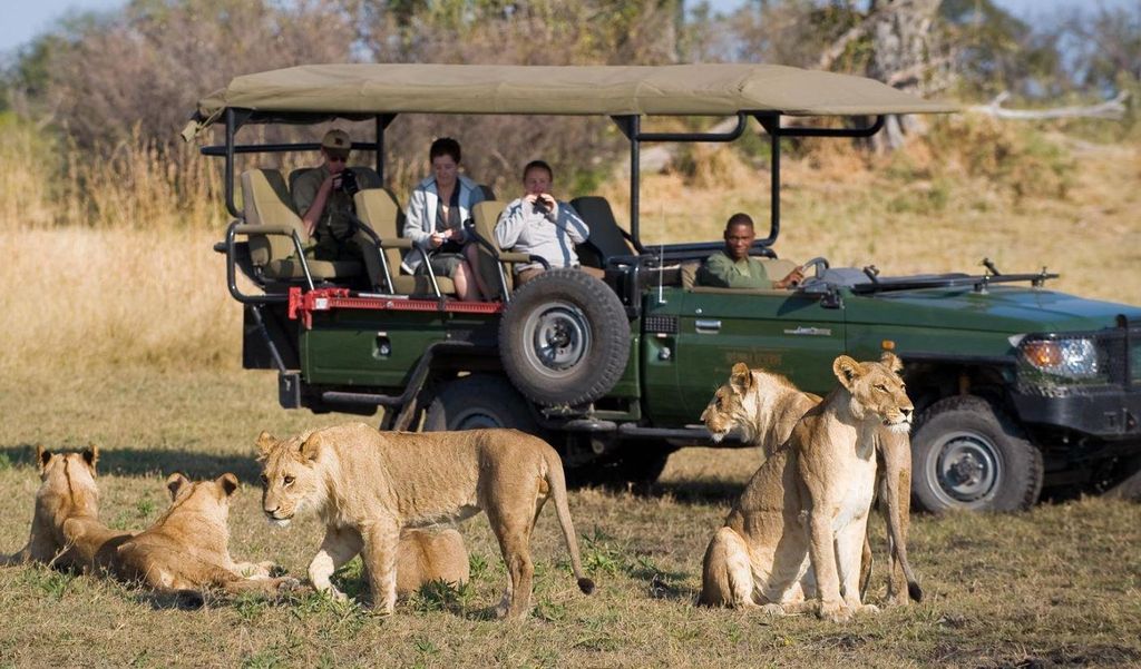 Kruger Park & Blyde River Canyon 4Tage Safari ab Johannesburg