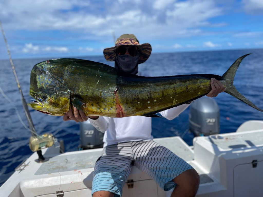 Seychellen: Geführter Angelausflug mit Ausrüstung
