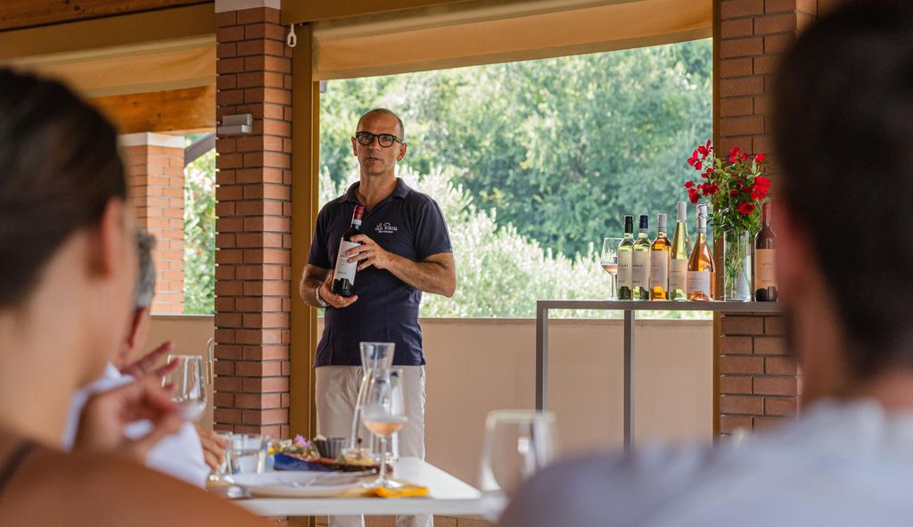 Bardolino: Tour durch die Weinberge mit Wein-, Olivenöl- und Foodtasting