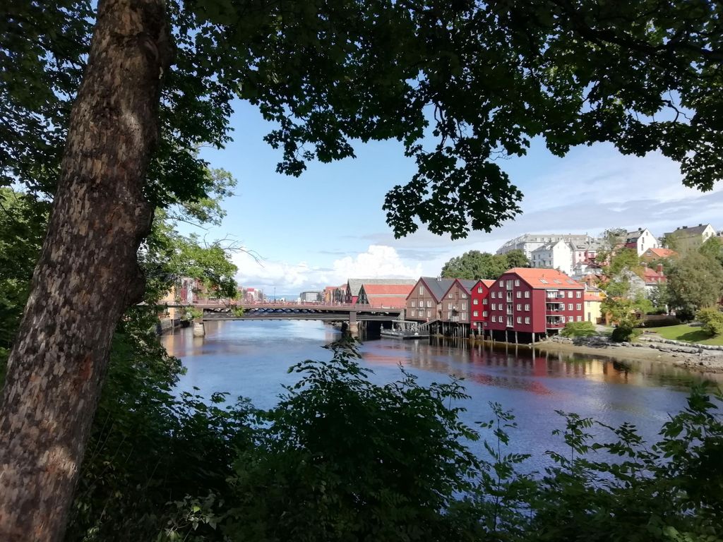 Trondheim : Entdecke die Stadt der Könige mit einem ortskundigen Guide