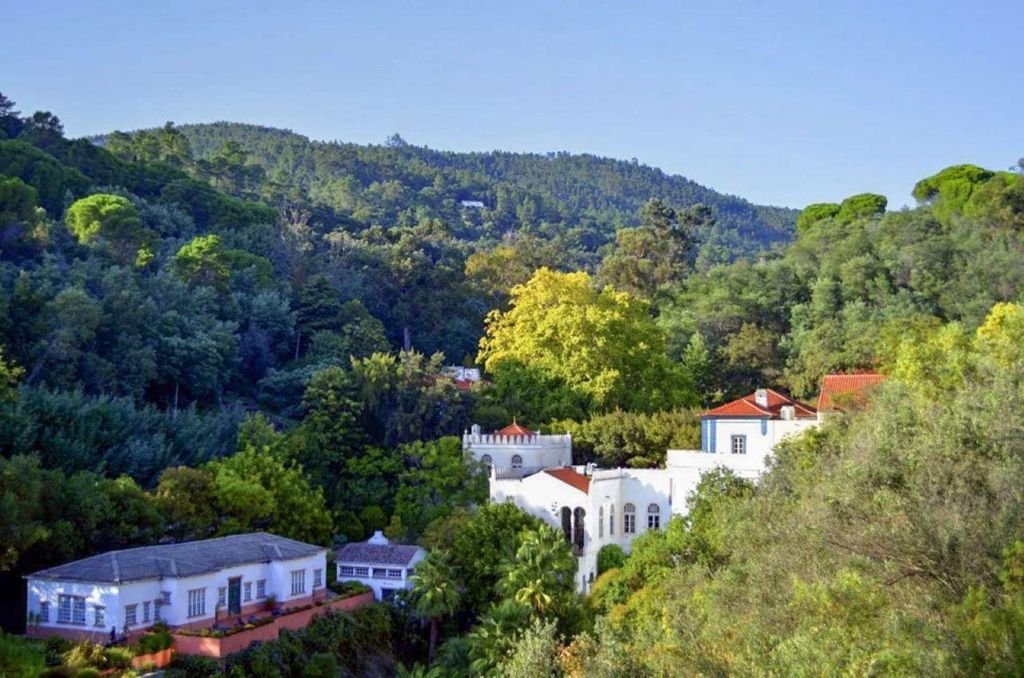 Monchique: Highlights Tour