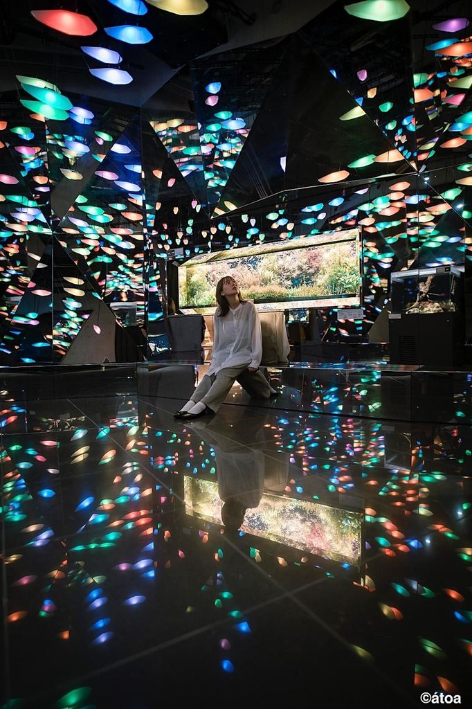 Kobe: Urban Aquarium AQUARIUM×ART átoa Entry Ticket