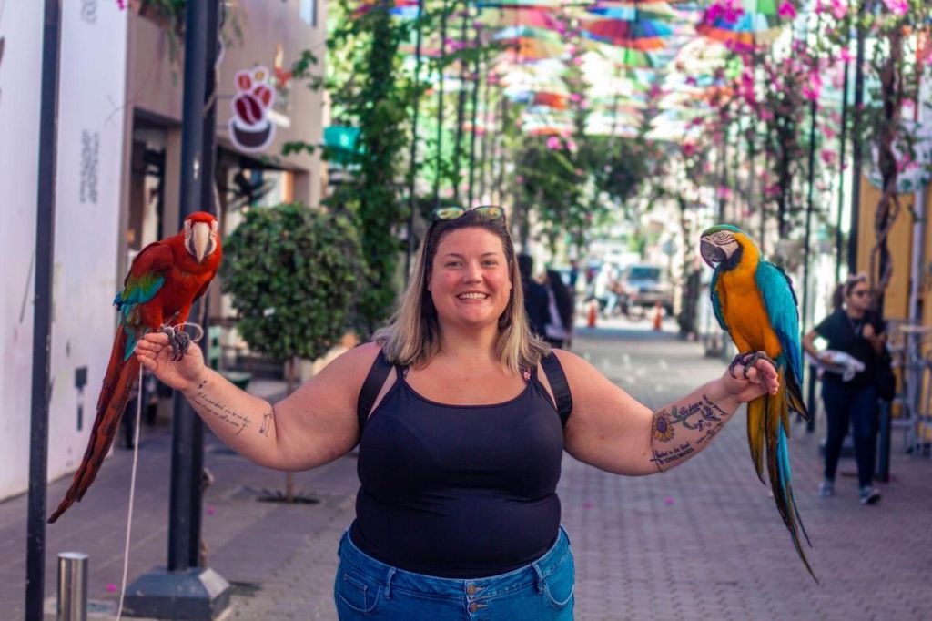Kurzausflüge Stadtführung und 27 Wasserfall Damajagua