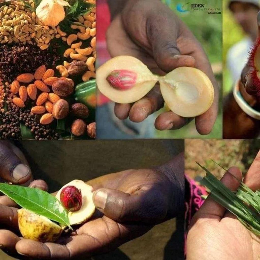 Sansibar: Spice Tour & Rundgang durch Stone Town