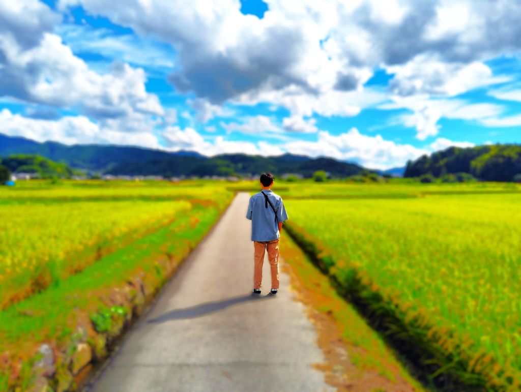 Nara: Asuka, antike Hauptstadt & zukünftiges Kulturerbe – private Tour