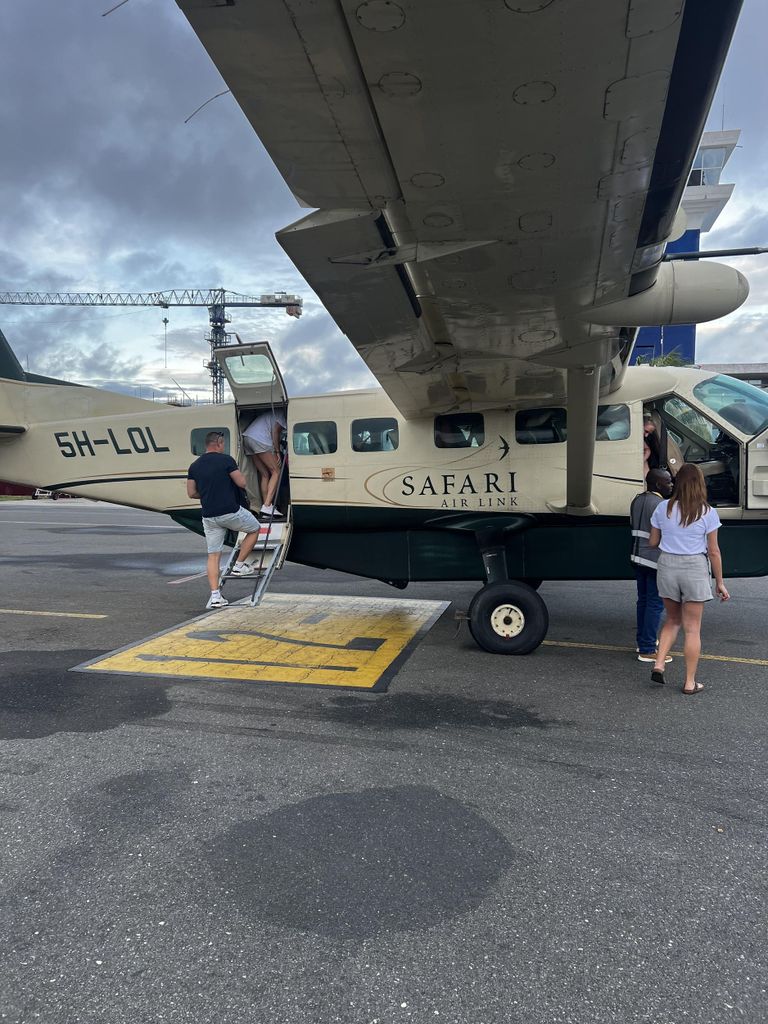 Serengeti: Fly-in Drive-out 4-Tage-3-Nächte-Safari