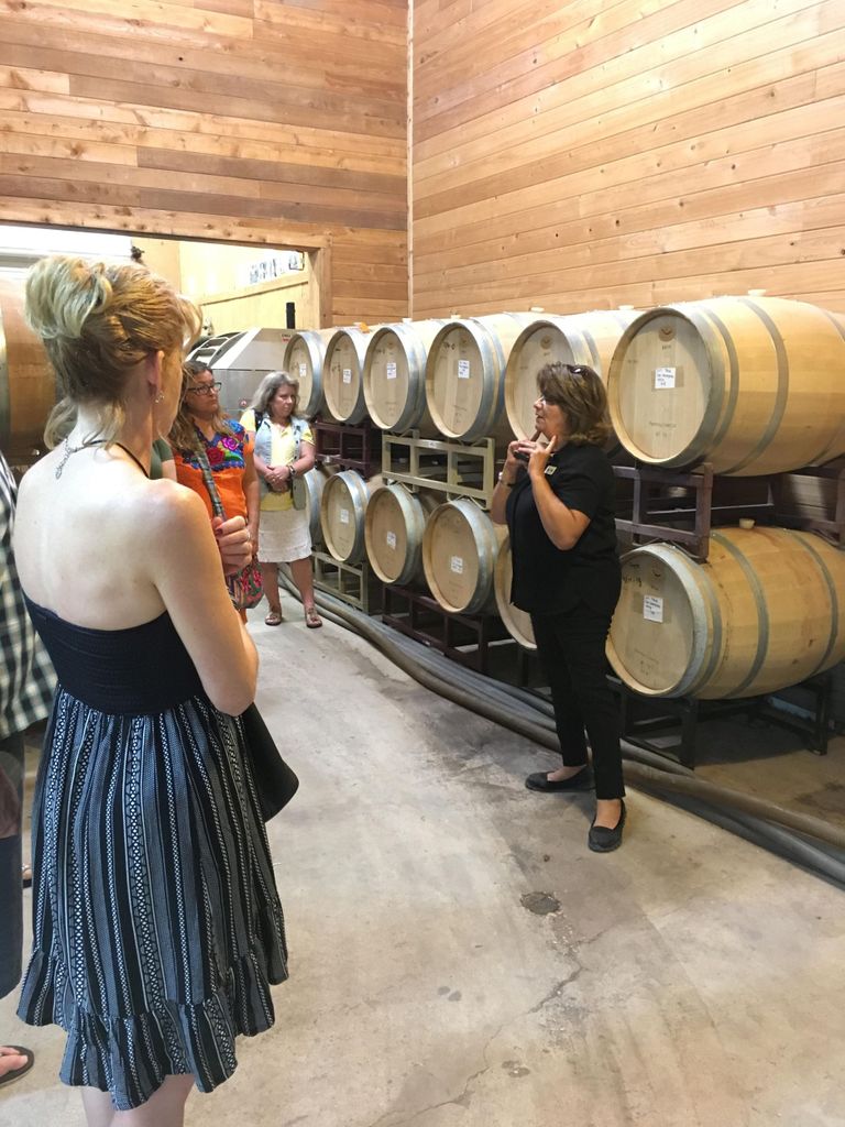 San Antonio: Fredericksburg Wineries Tagestour mit Verkostungen