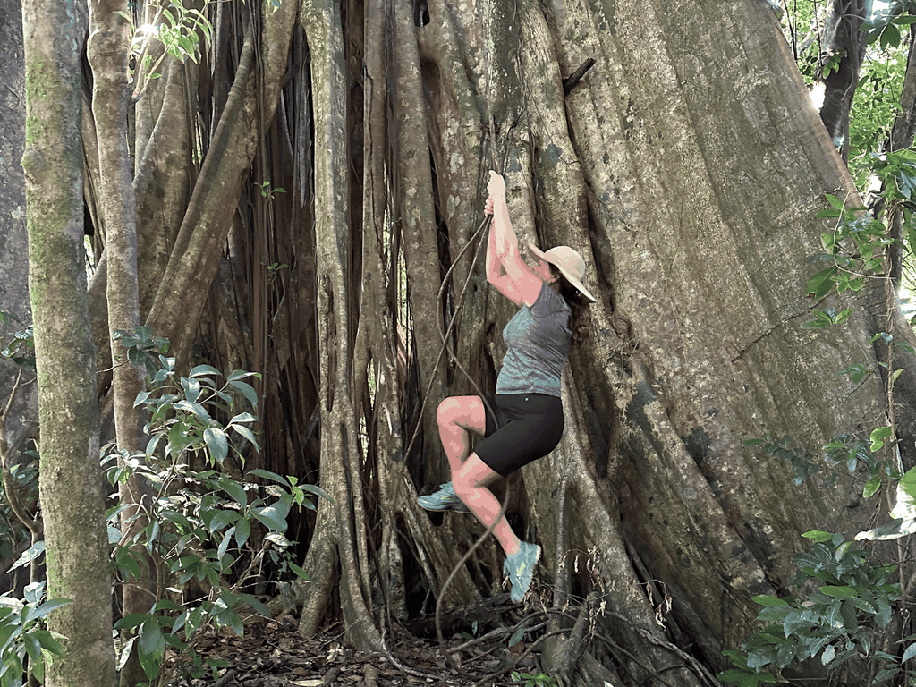 Vermont Naturpfad und Vogelbeobachtungstour