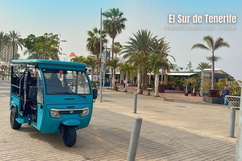 Costa Adeje: Tuk-Tuk-Tour durch den Süden Teneriffas