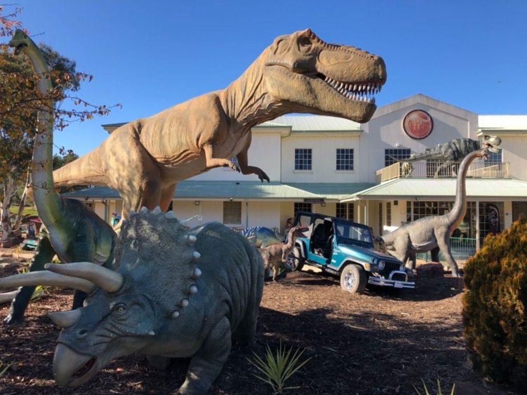 Nationales Dinosauriermuseum – Eintrittskarte