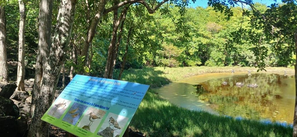 Ostküste: Île d'Ambre & Île aux Bernaches – Natururlaub