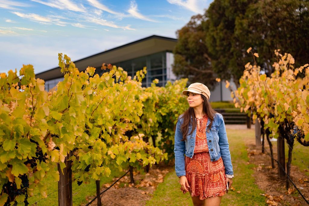 Adelaide: Barossa und Adelaide Hills Tour mit Mittagessen