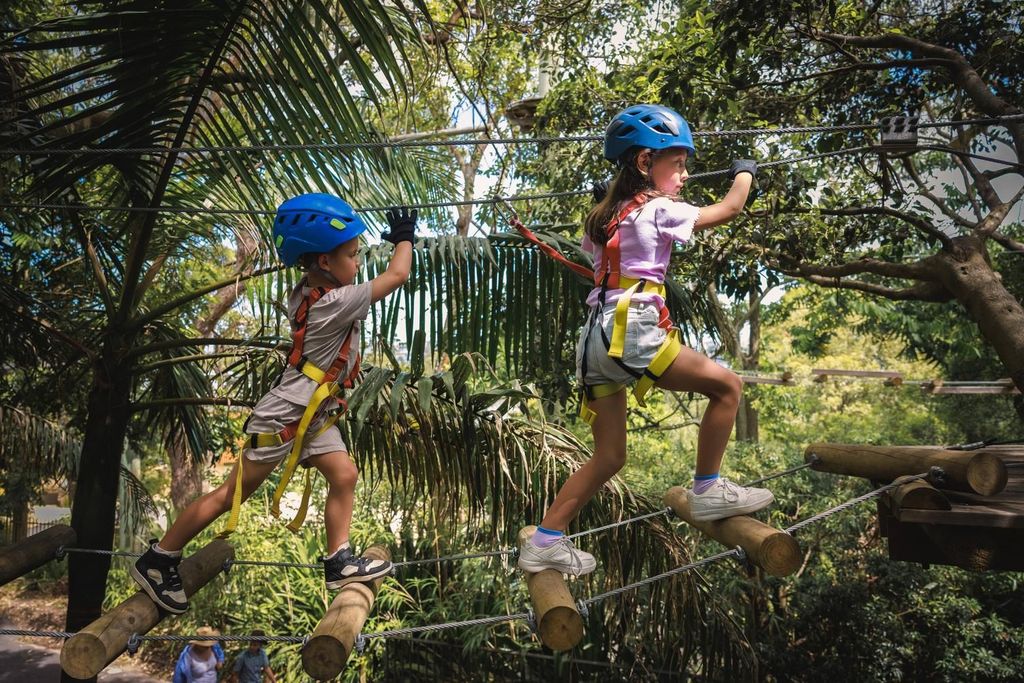 Canberra: Majura Pines Junior Tree Ropes Course