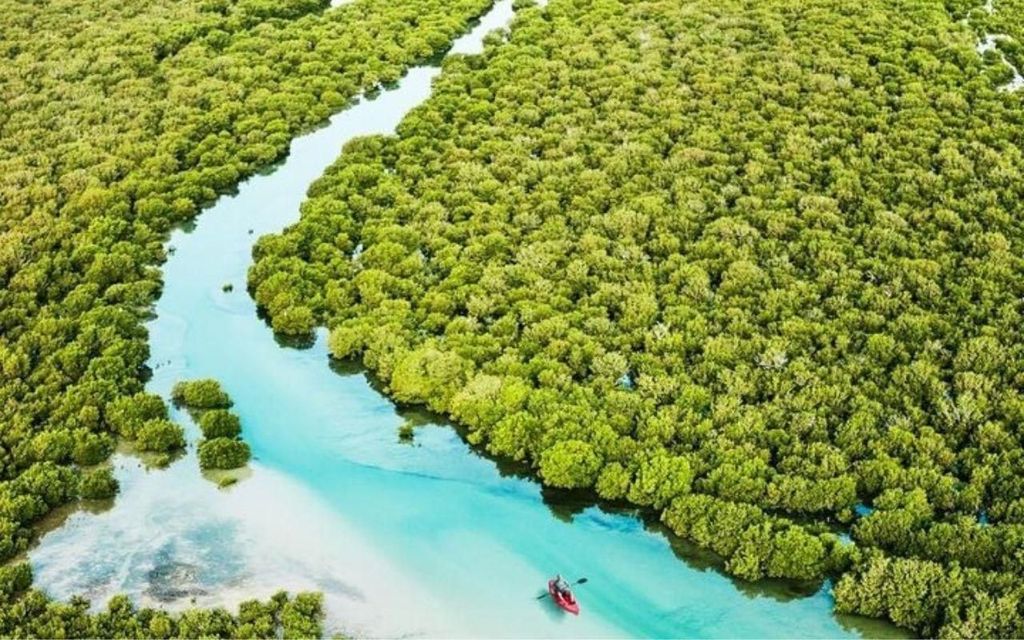 Doha: Halbtägige Tour durch Nord-Katar zur UNESCO-Stätte Zubara