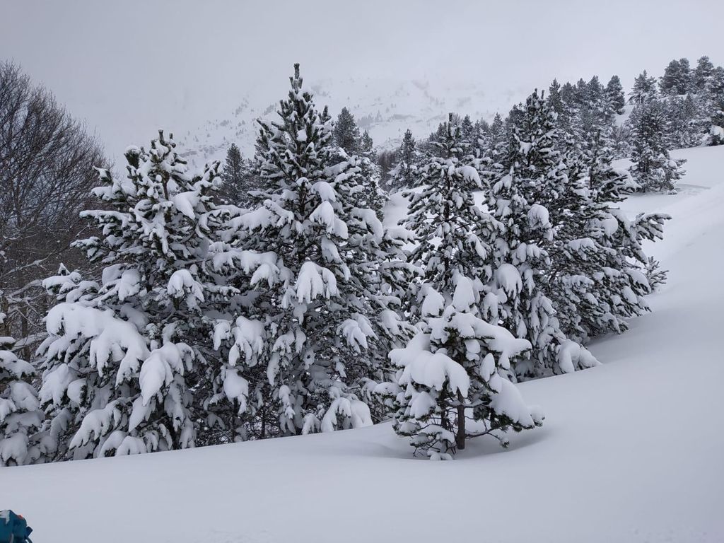 Aragonesische Pyrenäen: Bau von Iglus und Schneehöhlen