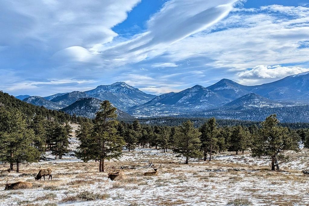Von Boulder oder Denver: Tour zum Rocky Mountain National Park