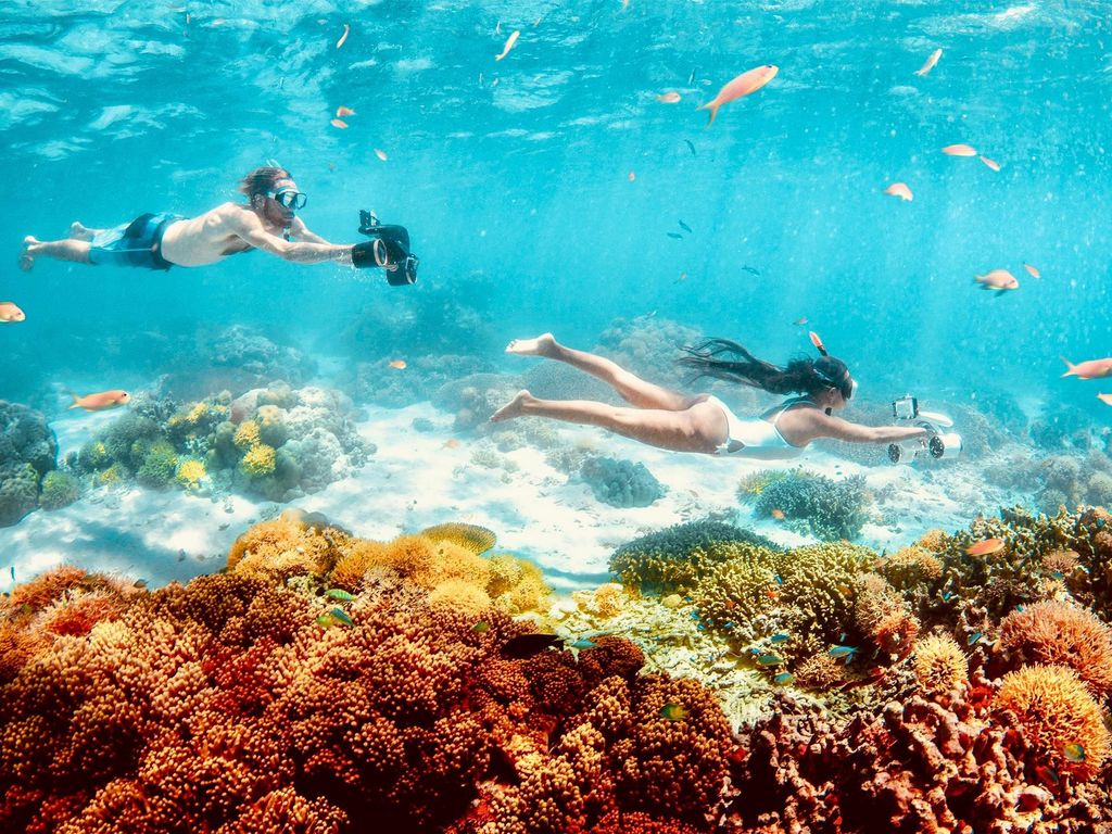 Unterwasserscooter-Verleih in Guadeloupe