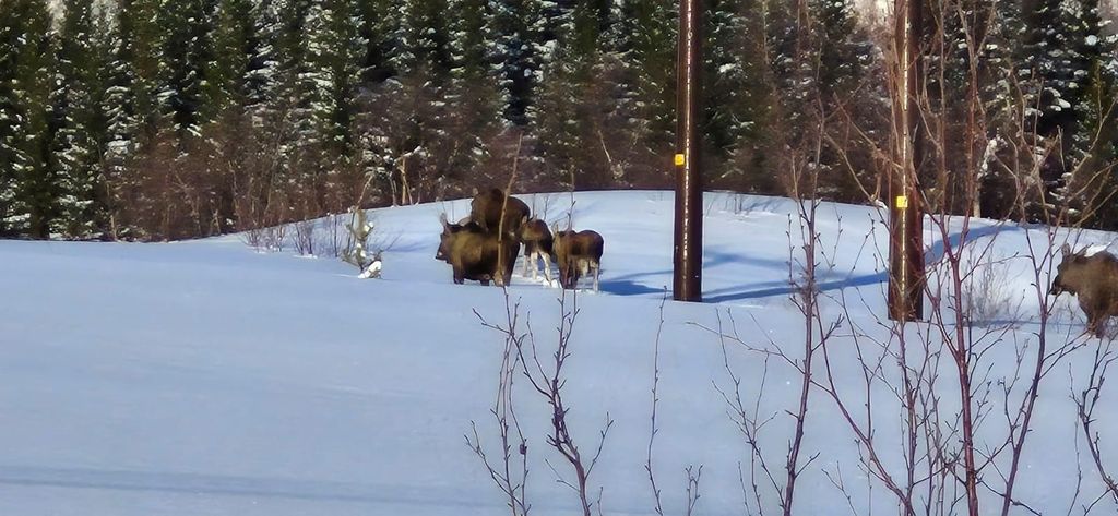 Tromsø: Sommarøy Scenic Arctic Fjord Small-Group Tour (8 pax)