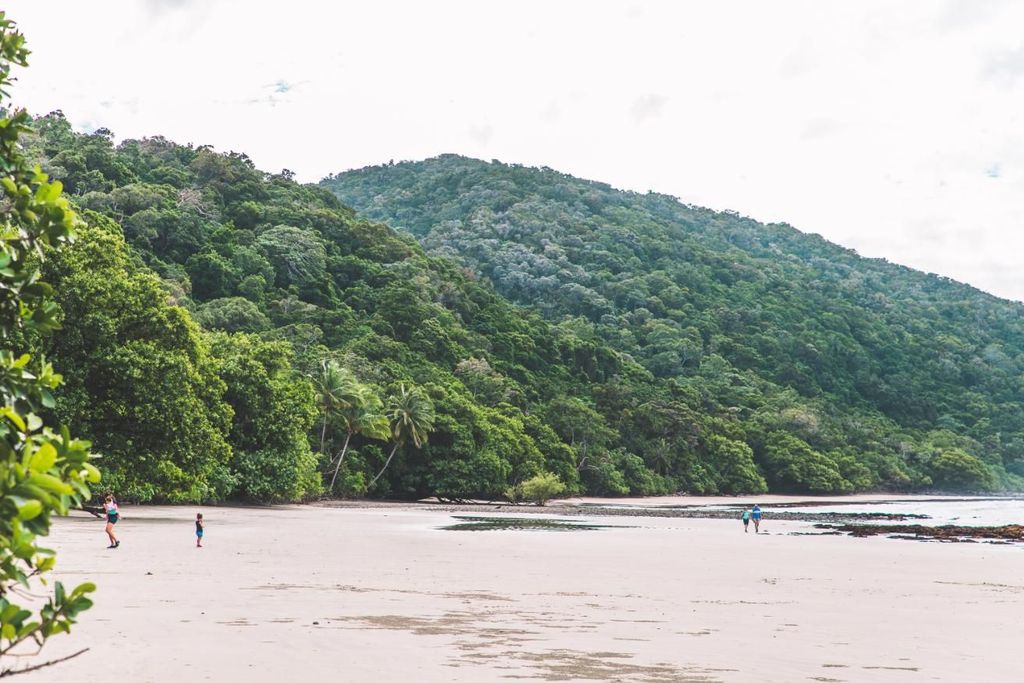 Cairns: Premium-Tour zu Cape Tribulation und Daintree-Nationalpark