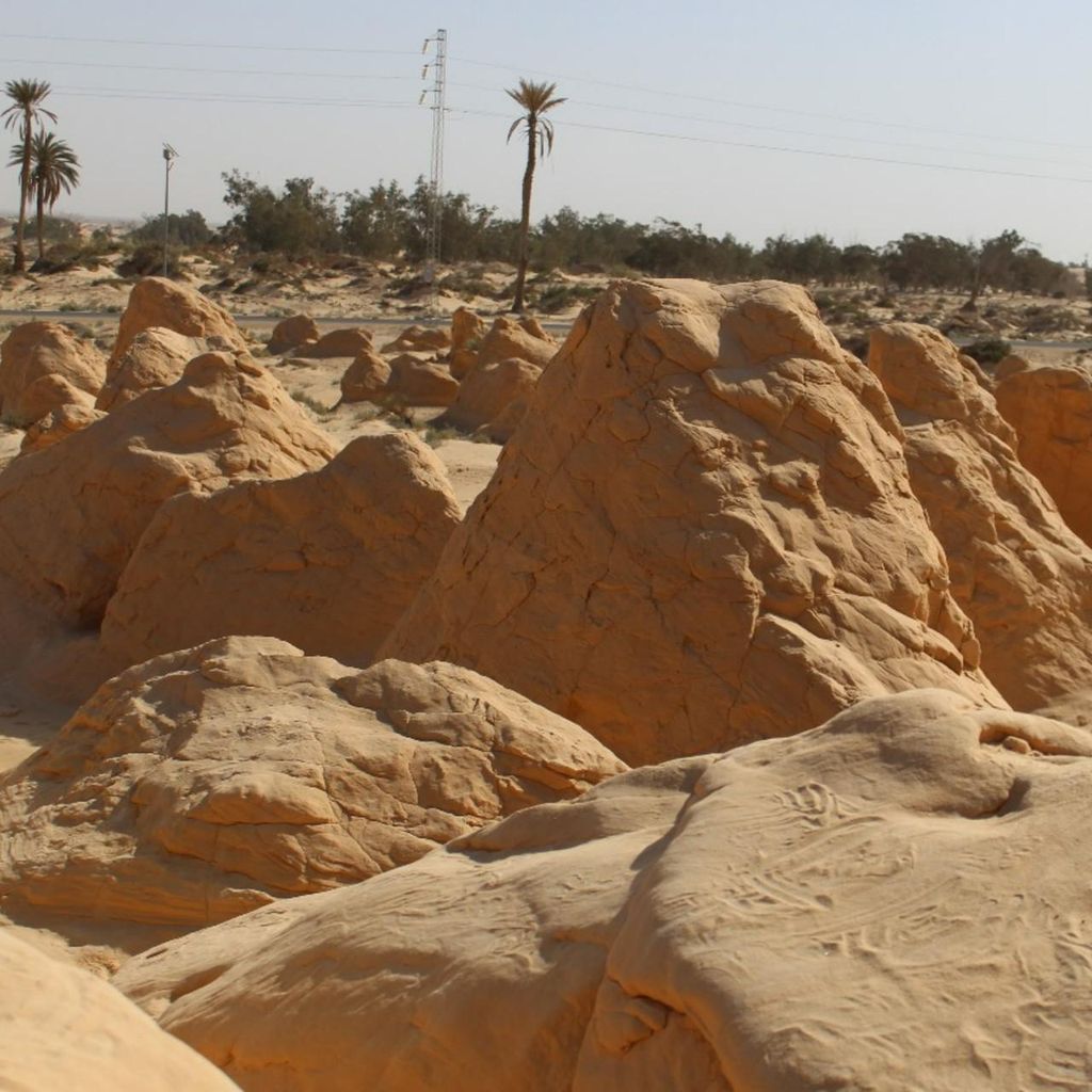 Von Tozeur 2 Tage nach Ksar Ghilaine (Übernachtung im Zelt)