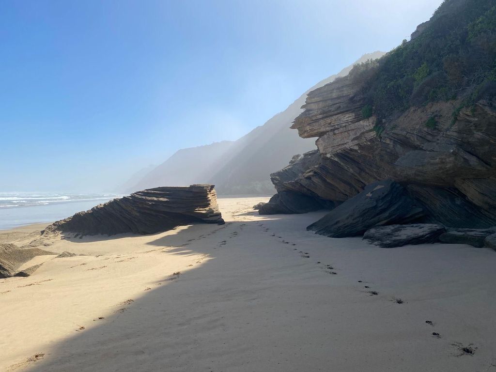 Von Stellenbosch: 3-tägige Tour entlang der Garden Route mit Pirschfahrt