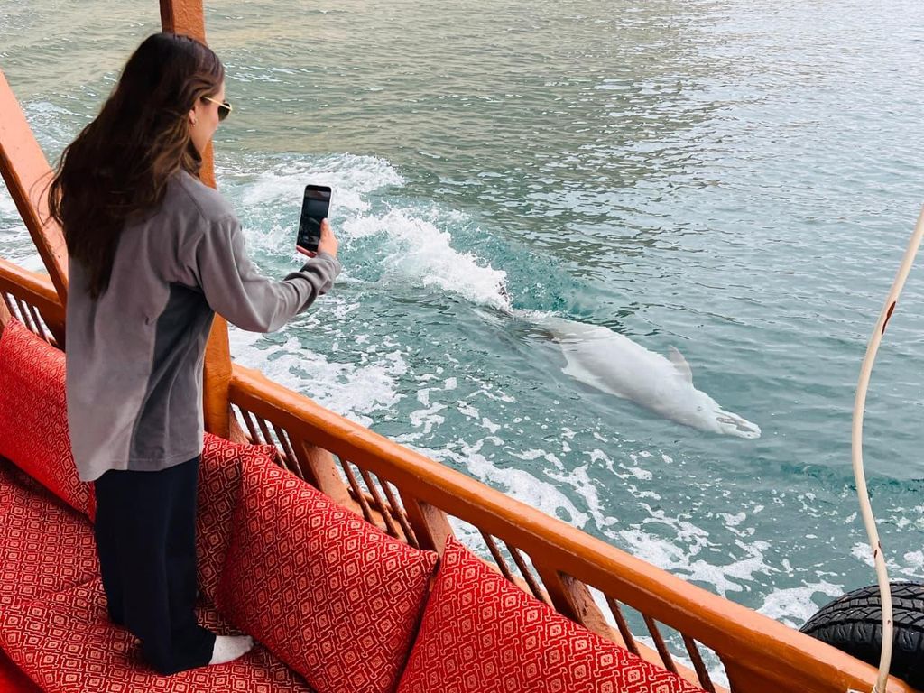Khasab Musandam Fjorde Kreuzfahrt mit Schnorcheln (Halber Tag)