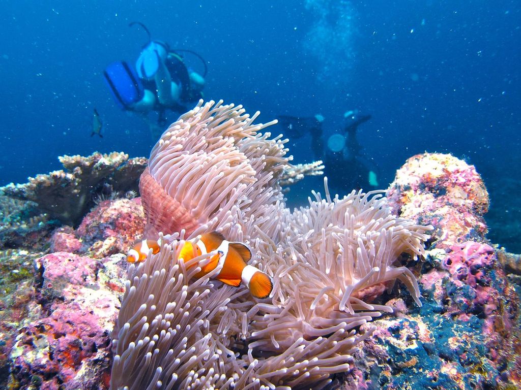 RAID Schnuppertauchen in Kota Kinabalu, Sabah