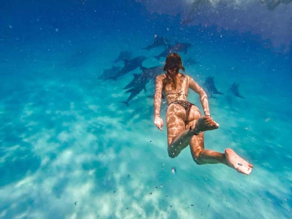 Mnemba Island: Schwimmen mit Delfinen & Schnorcheln mit optionalem Mittagessen
