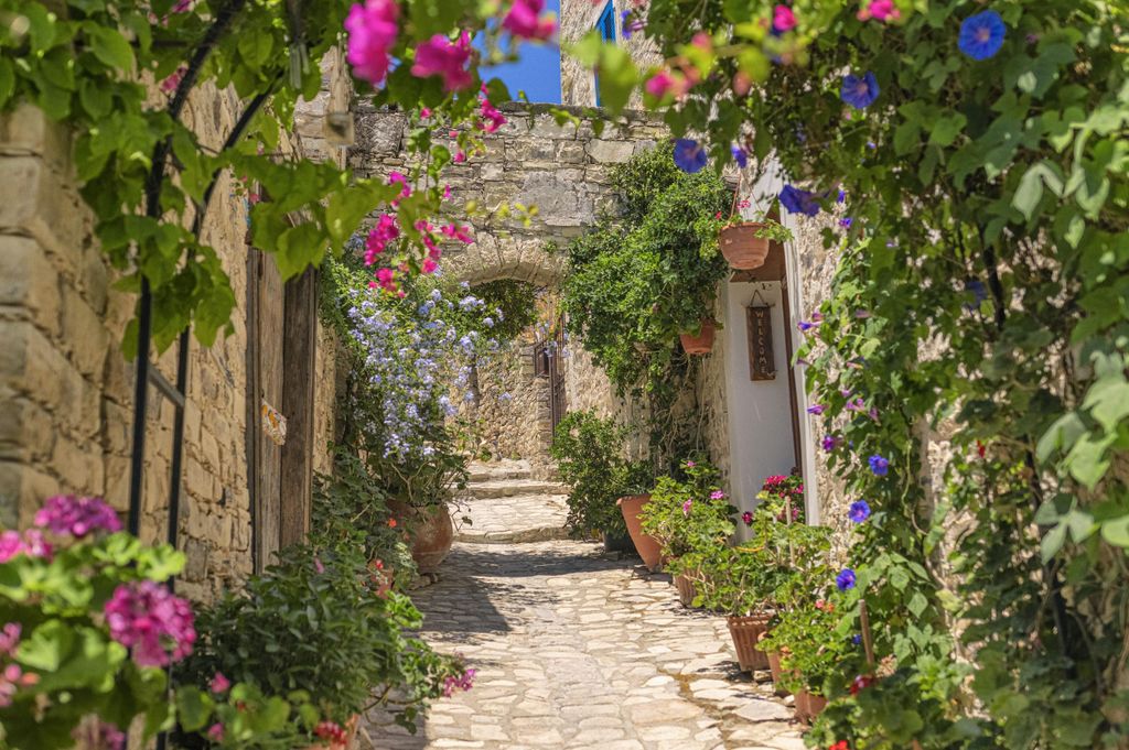 Das authentische Zypern mit einem rumänischsprachigen Guide