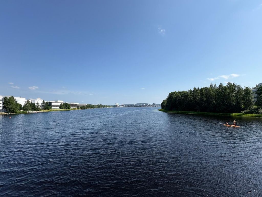 Jyväskylä: Geführter Waldspaziergang oder Wanderung mit Lagerfeuer