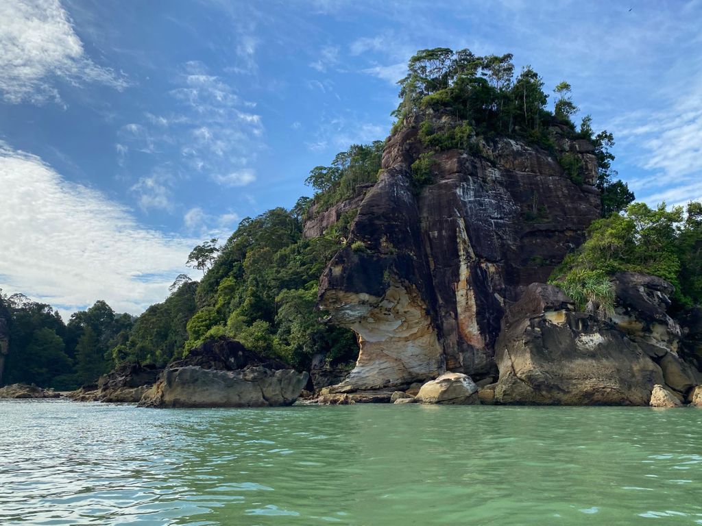 Kuching: 2-tägige Tour zu Wildtieren in Bako & Regenwald in Permai
