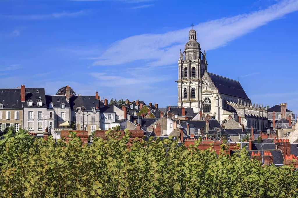 Hallo Blois: Privater, 2-stündiger Einführungs-Stadtrundgang mit ortskundigem Guide