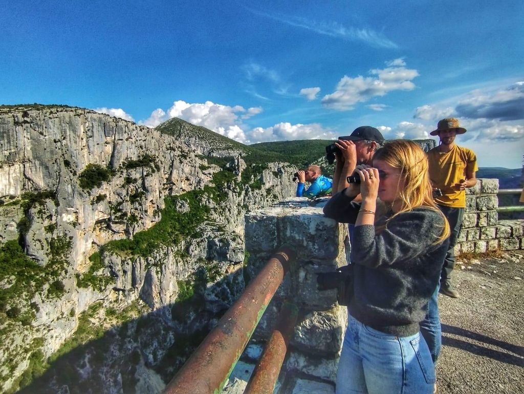 Verdon-Schlucht: Beobachtung von Geiern