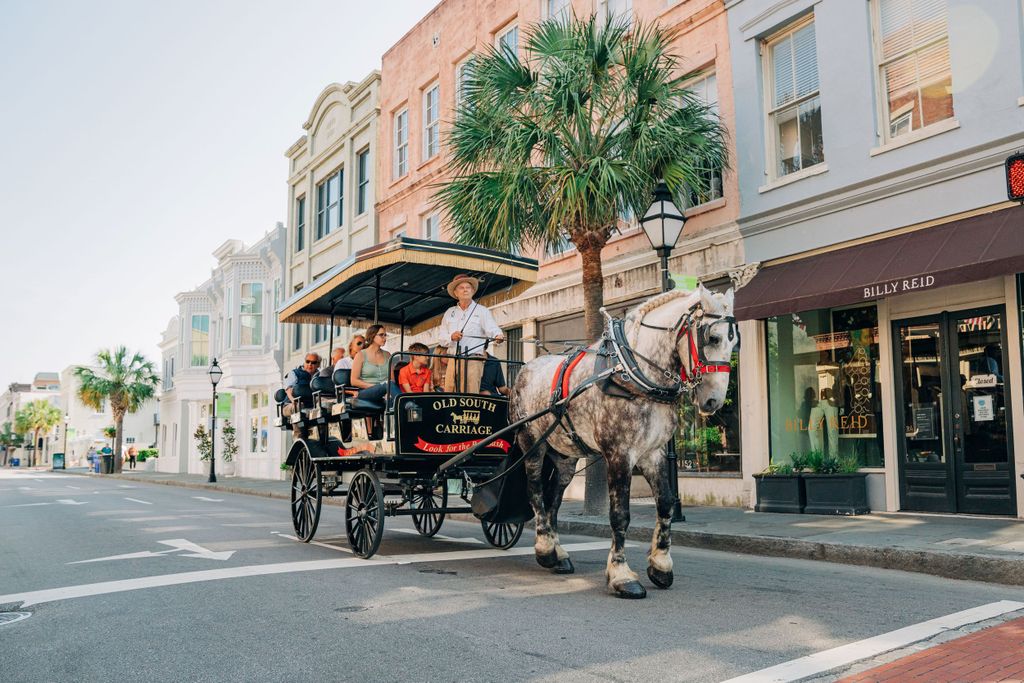 Charleston: Historische Downtown Tour mit der Pferdekutsche