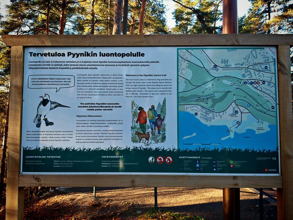 Tampere: Pyynikki Ridge Naturwanderung mit Donut & Getränk