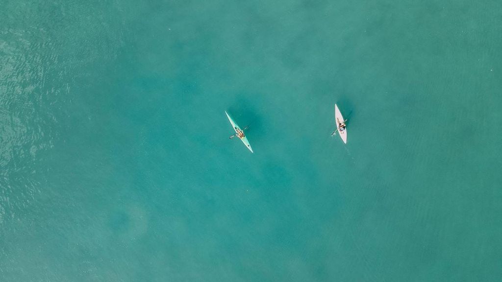 Noosa River: Mangroven und Herrenhäuser Geführte Kajaktour