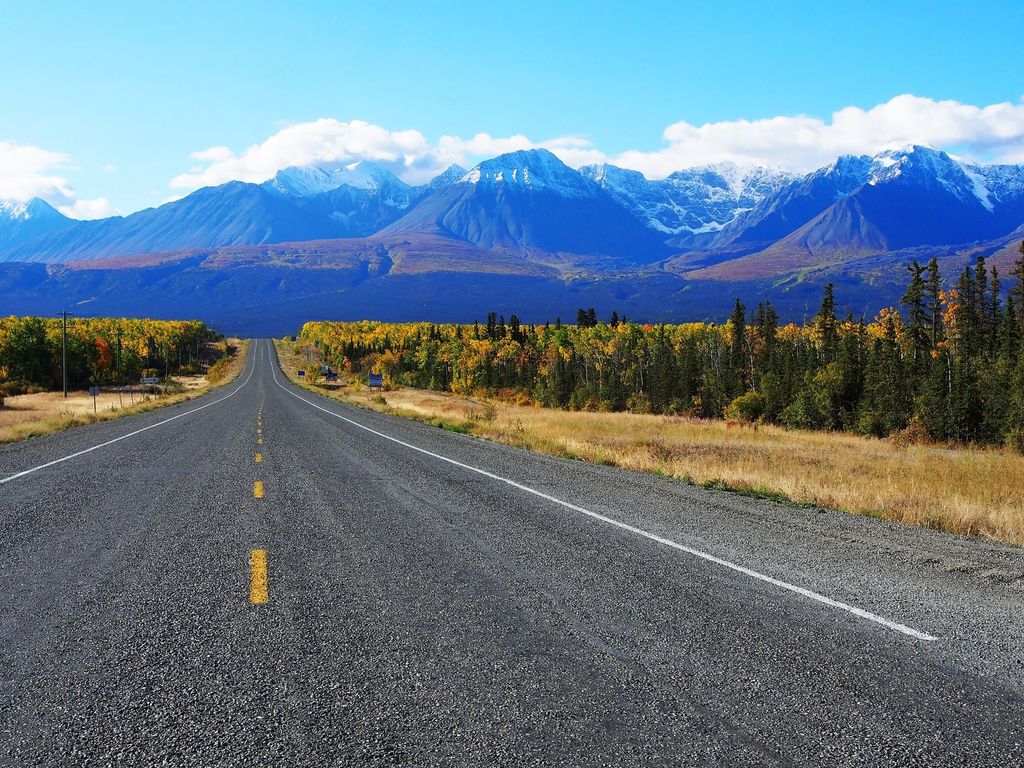 Kluane National Park: Ganztagestour