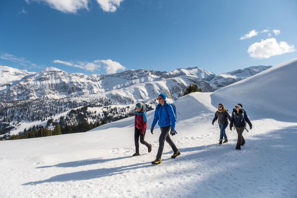 Lenk: Der Winterwanderpass am Betelberg