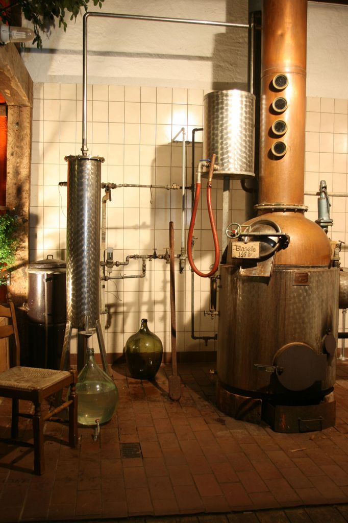 Eifel: Führung durch Historische Wassermühle in der Vulkaneifel