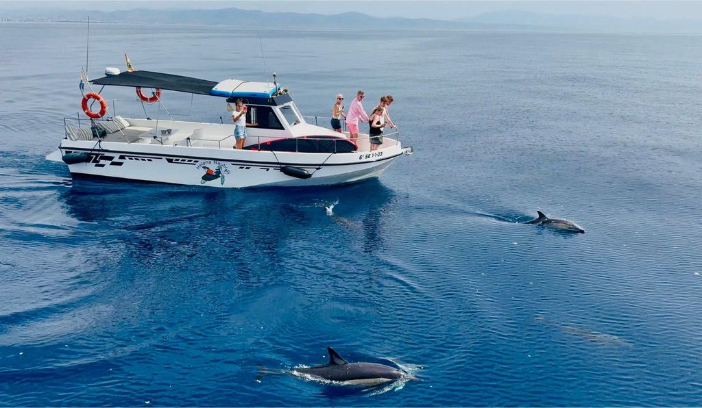 Benalmádena: Unser privates Boot, kostenlose Drinks, Aktivitäten & Delfine – das erwartet dich!