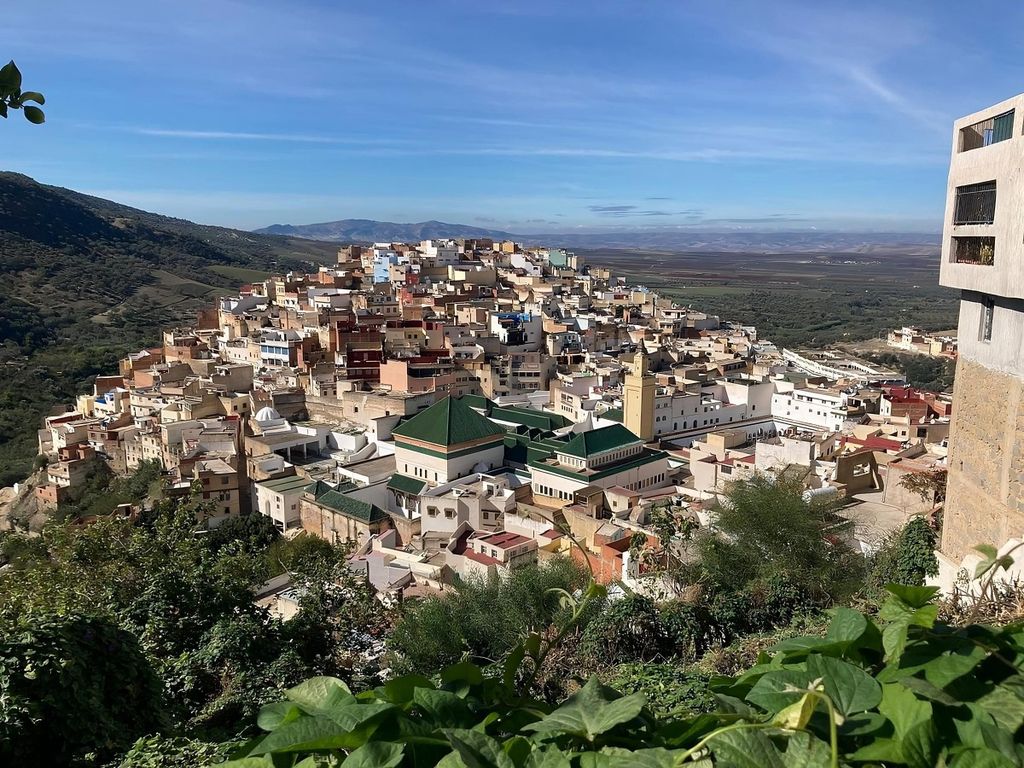 Von Fes aus: Tagestour nach Meknes, Volubilis, Moulay Idriss