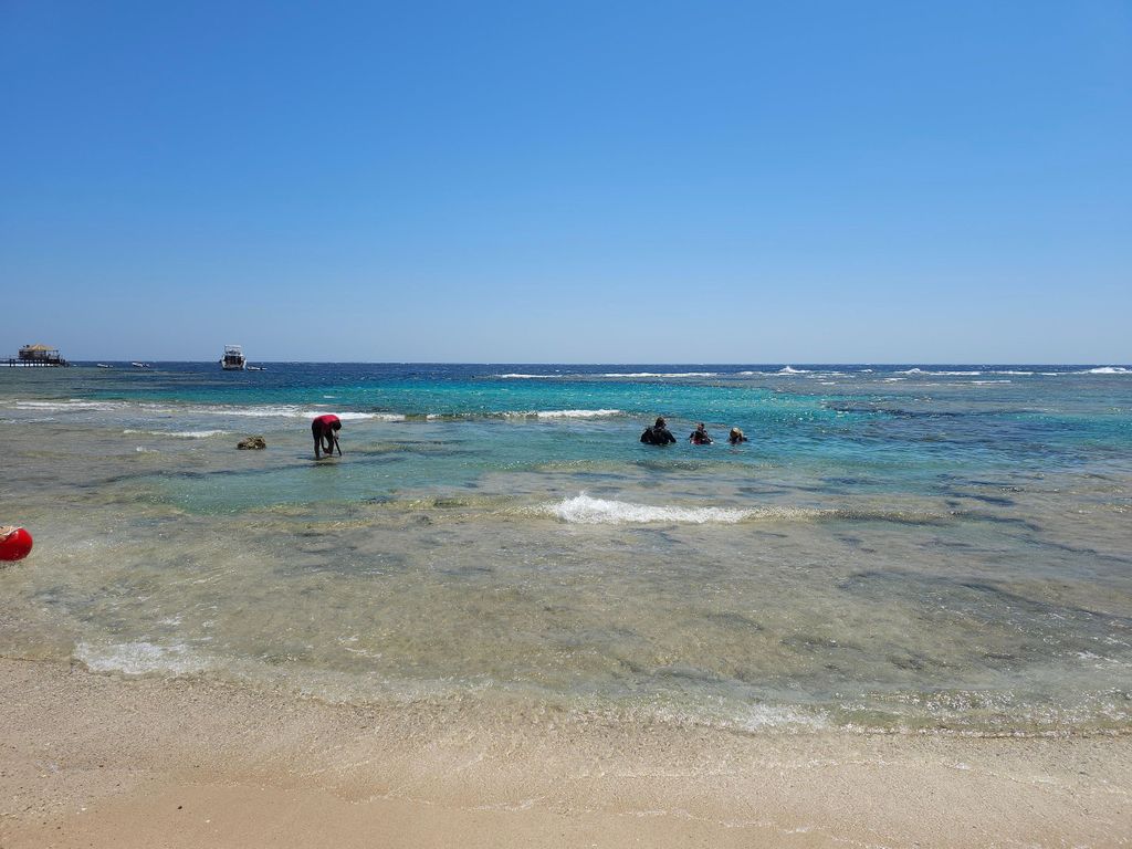 El Quseir: Tauchen im Roten Meer – Riffe, Höhlen und Meeresfauna