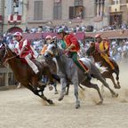 Pferderennen "Palio di Siena"