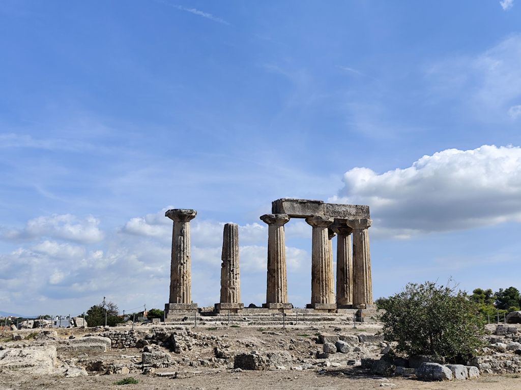 Olivenöl- und Weinverkostung mit Abholung (7 Std.)