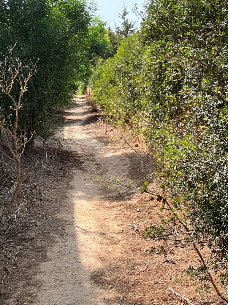 Malta, Il-Majjistral-Naturpark: Wandern und Outdoor-Yoga
