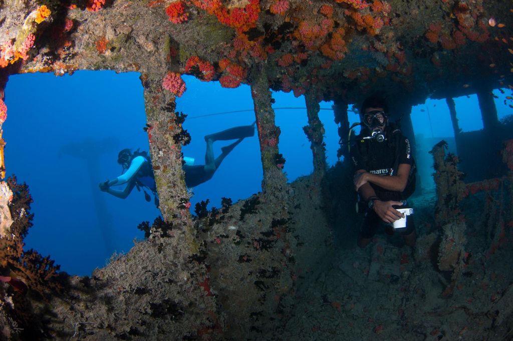 Malediven: Victory-Schiffswrack-Tauchgang