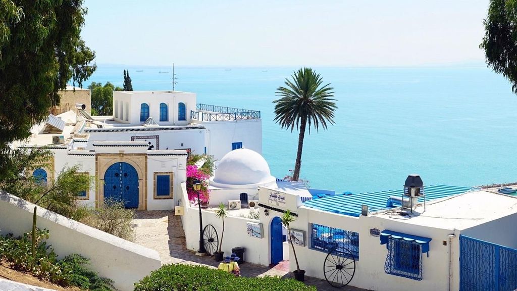 Hammamet: Karthago, Sidi Bou Said und die Medina von Tunis mit Mittagessen