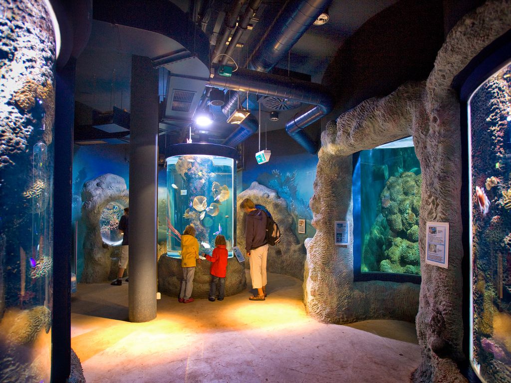 Sylt-Aquarium