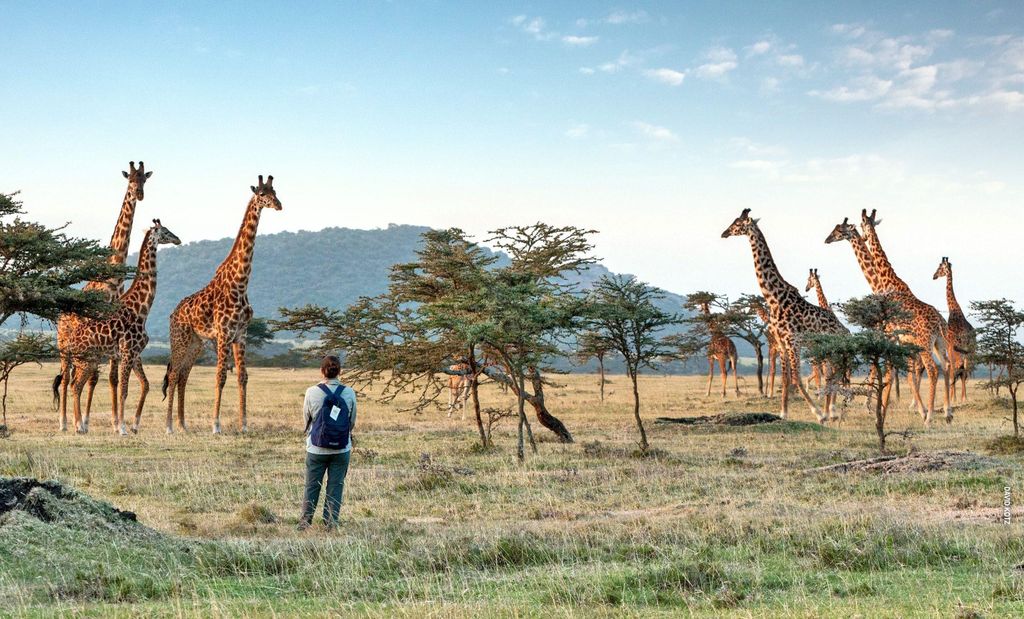 Arusha National Park Tagestour mit All-Inclusive